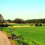 Bor