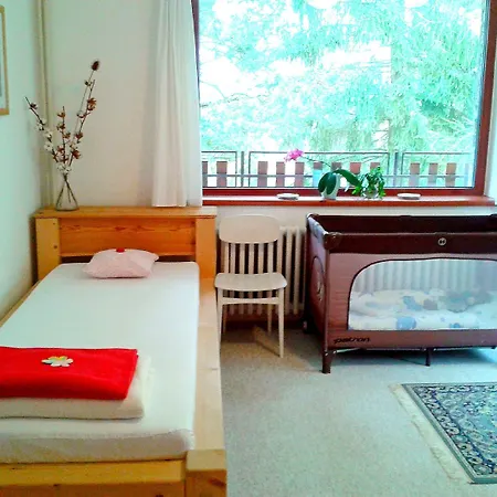 Bed and Breakfast Bor 3*