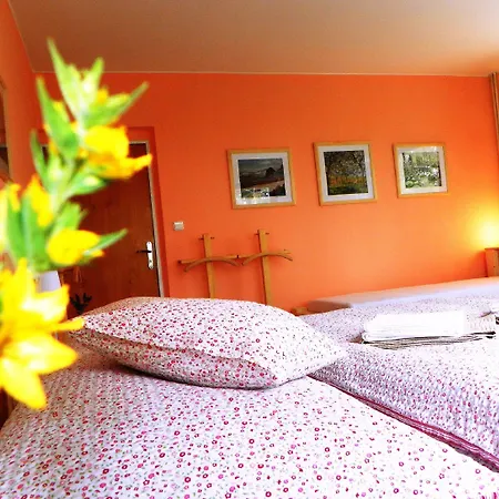 Bed and Breakfast Bor Náchod