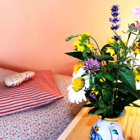 Bed and Breakfast Bor