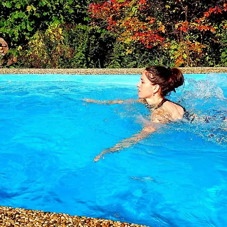 Bed and Breakfast Bor 3*