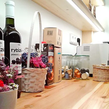 Bed and Breakfast Bor 3*