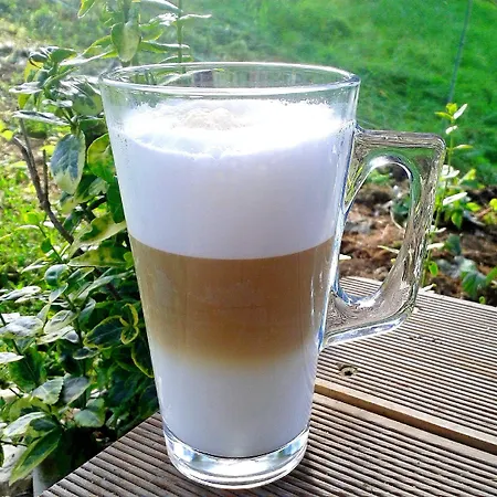 Bor Bed and Breakfast Náchod