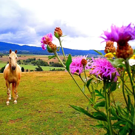 Bor Bed and Breakfast 3*