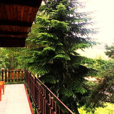 فندق مبيت وإفطار Bor Náchod