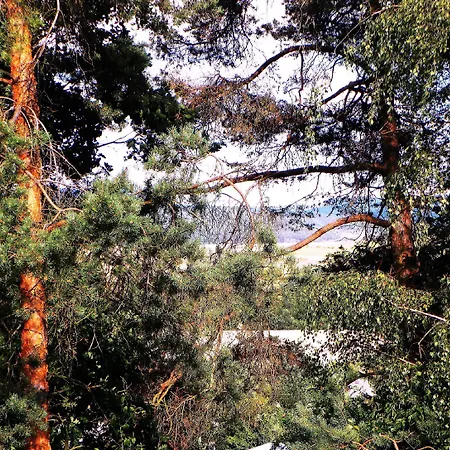 Bed and Breakfast Bor