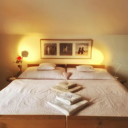 فندق مبيت وإفطار Bor 3*