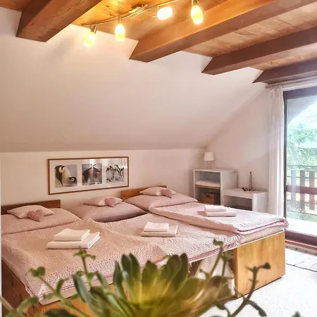 Bor Bed and Breakfast