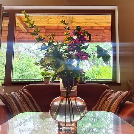 Bor Bed and Breakfast Náchod