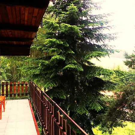 Bed & Breakfast Bor 3*