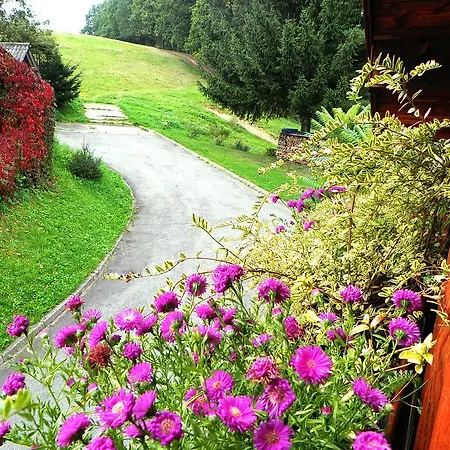 B&B Bor