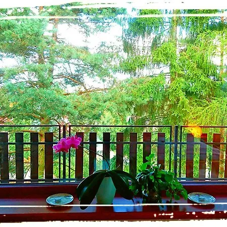 Bor B&B