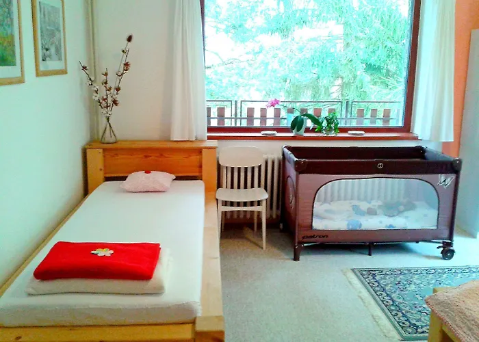 Bed & Breakfast Bor 3*