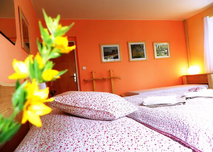 Bed & Breakfast Bor Náchod