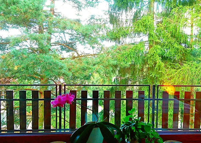 Bed & Breakfast Bor 3*