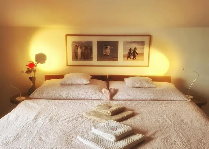 Bed & Breakfast Bor 3*