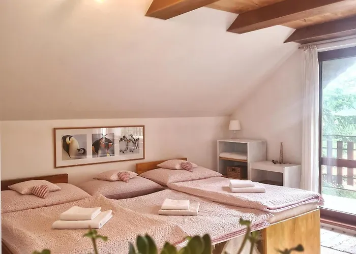 Bor Bed & Breakfast